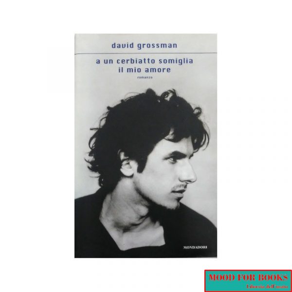 A un cerbiatto somiglia il mio amore