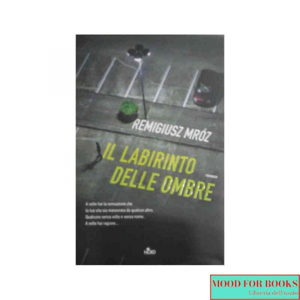 Il labirinto delle ombre*