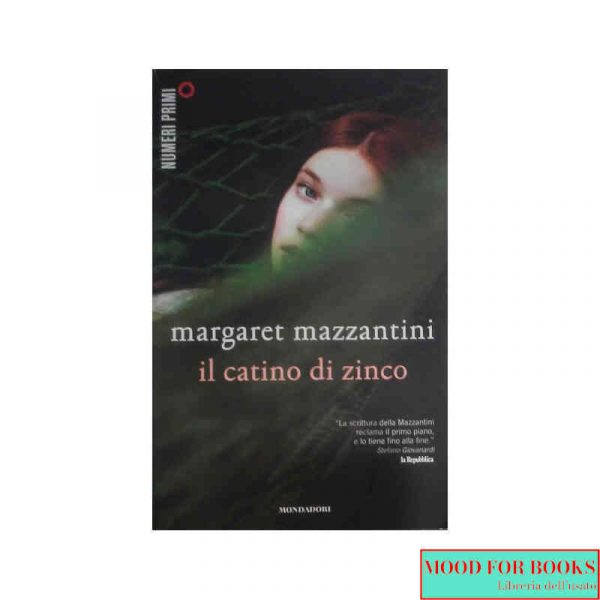 Il catino di zinco