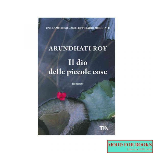 Il dio delle piccole cose