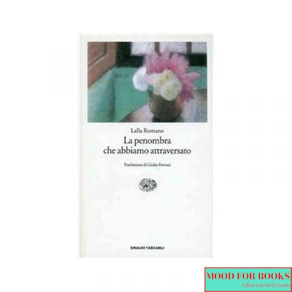 La penombra che abbiamo attraversato