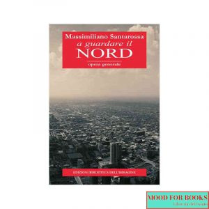 A guardare il Nord*