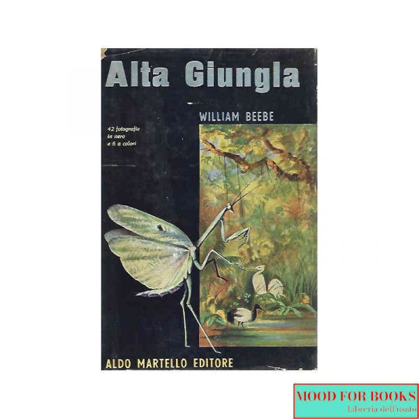Alta giungla*
