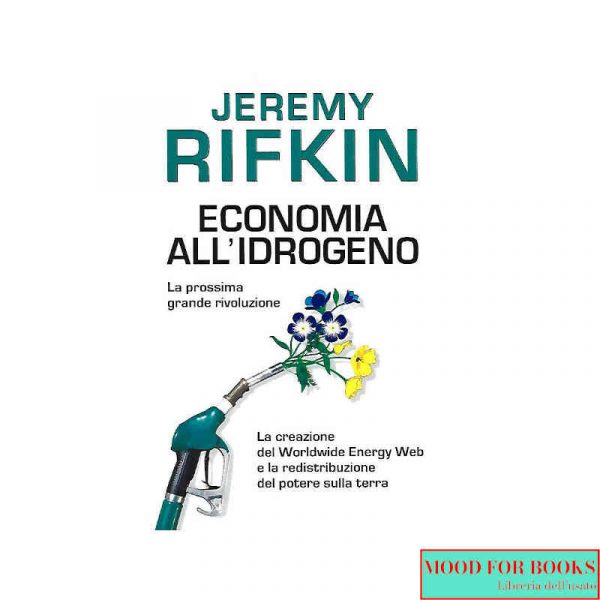 Economia all'idrogeno*