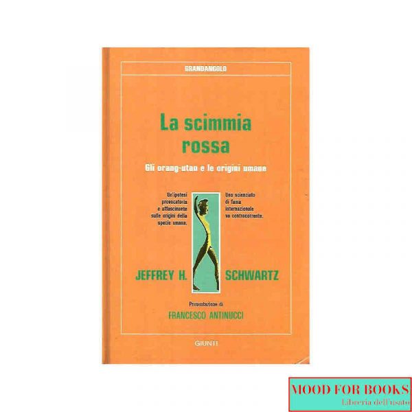 La scimmia rossa