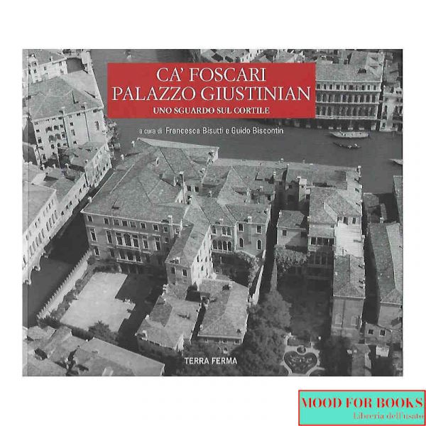 Ca' Foscari Palazzo Giustinian. Uno sguardo sul cortile*