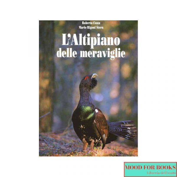 L'Altipiano delle meraviglie*