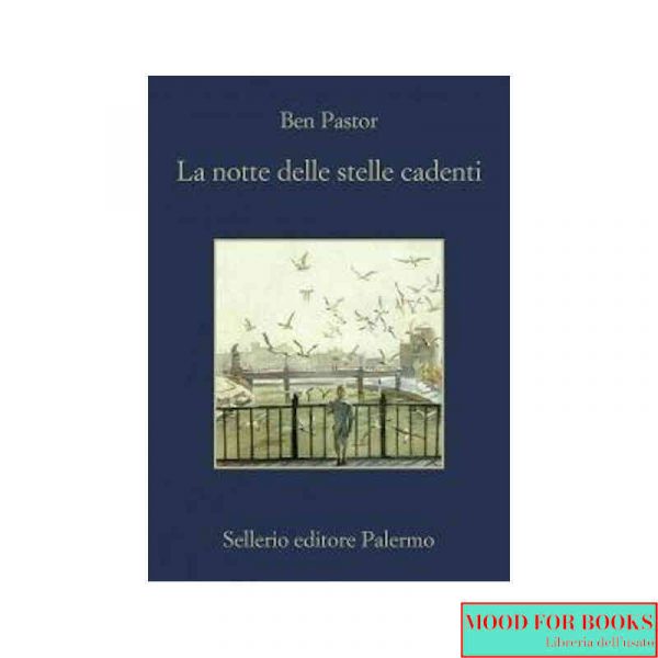 La notte delle stelle cadenti