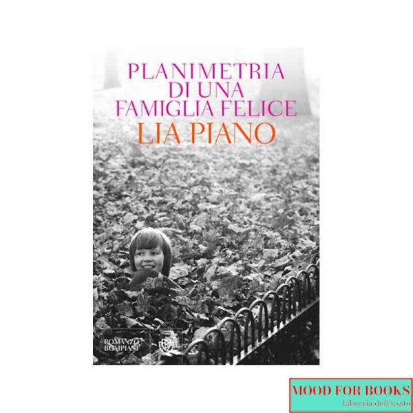 Planimetria di una famiglia felice