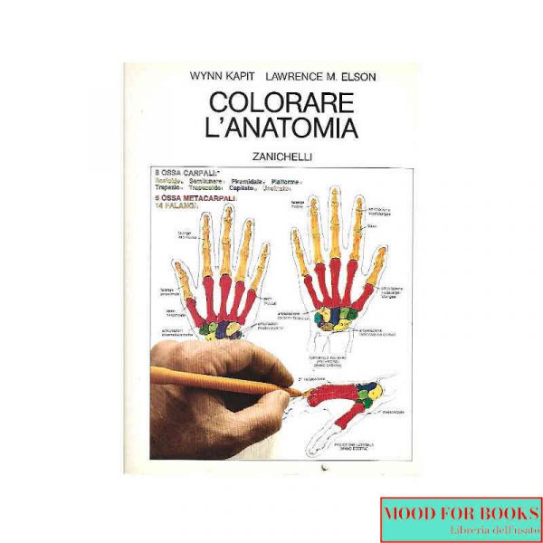 Colorare l'anatomia*
