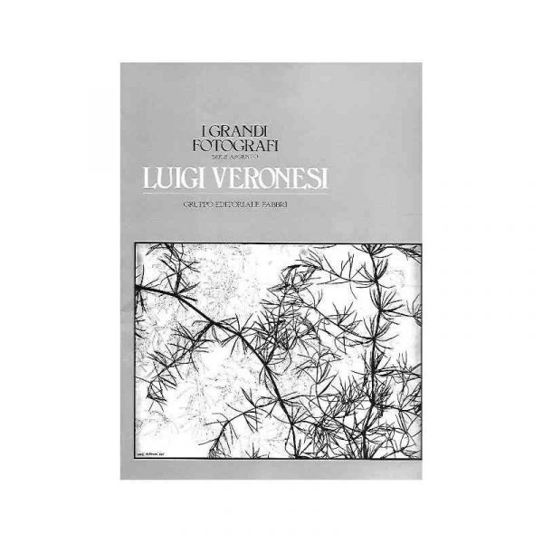 I grandi fotografi: Luigi Veronesi