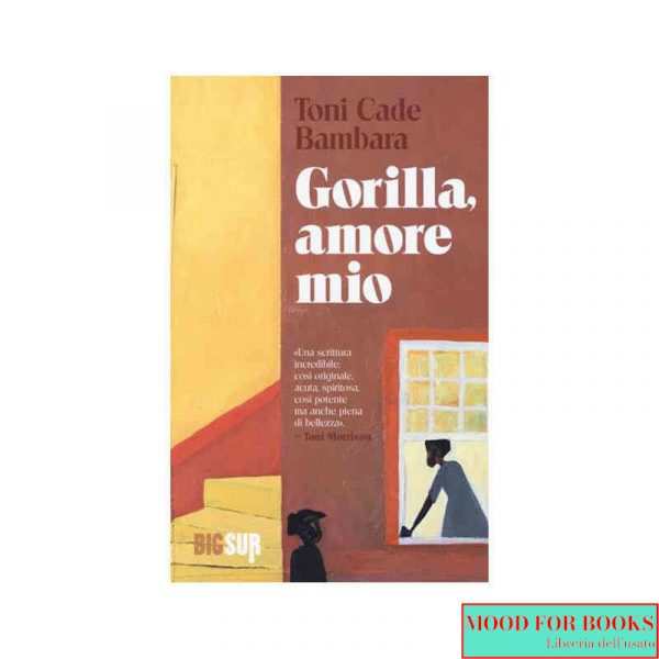 Gorilla, amore mio