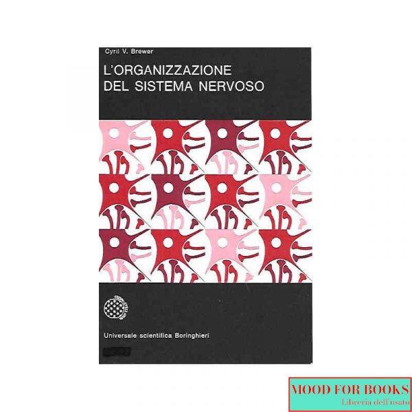 L'organizzazione del sistema nervoso