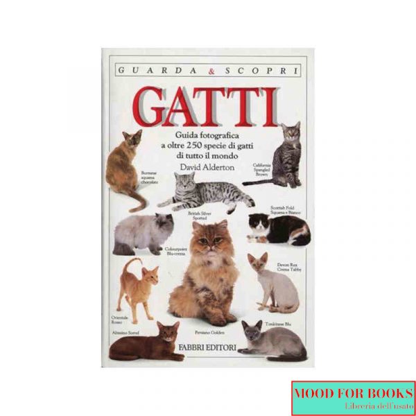 Gatti*