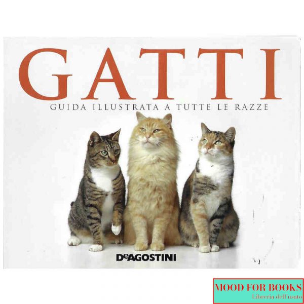 Gatti*
