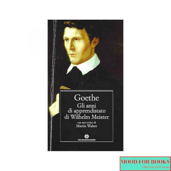 Gli anni di apprendistato di Wilhelm Meister