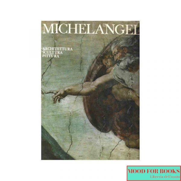 Michelangelo. Architettura, scultura, pittura