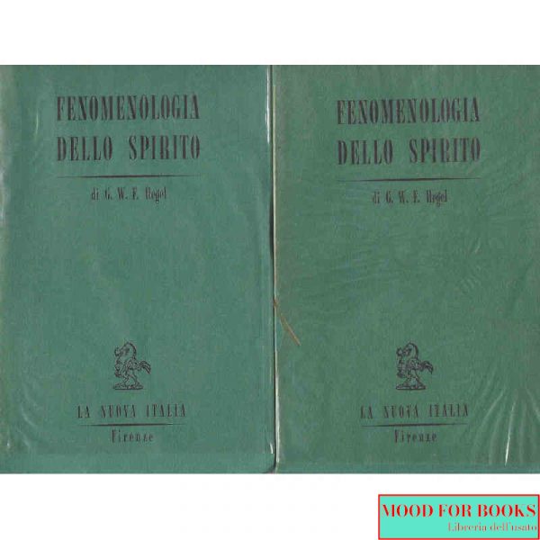 Fenomenologia dello spirito*