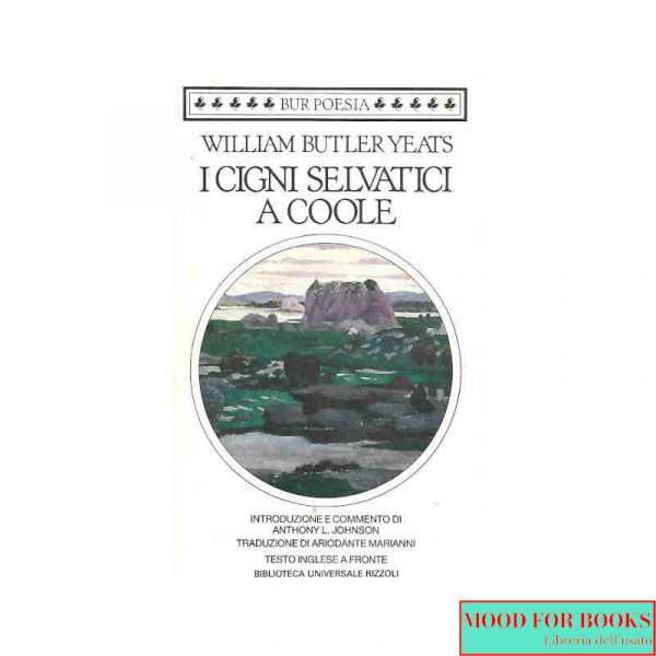 I cigni selvatici di Coole