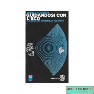 Guidandosi con l'eco