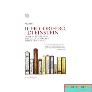 Il frigorifero di Einstein