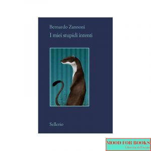 I miei stupidi intenti