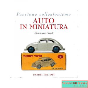 Auto in miniatura