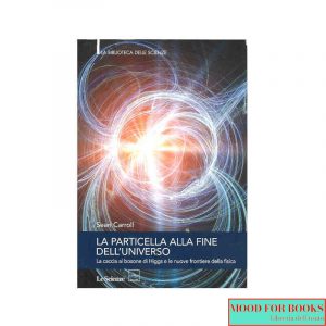La particella alla fine dell'universo