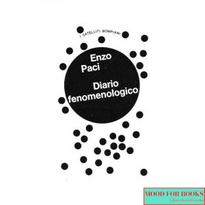 Diario fenomenologico