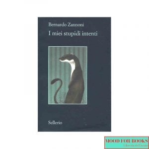 I miei stupidi intenti