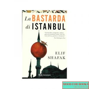 La bastarda di Istanbul