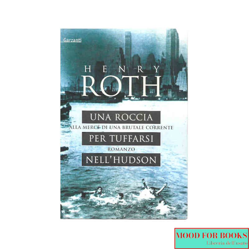 Una roccia per tuffarsi nell'Hudson*