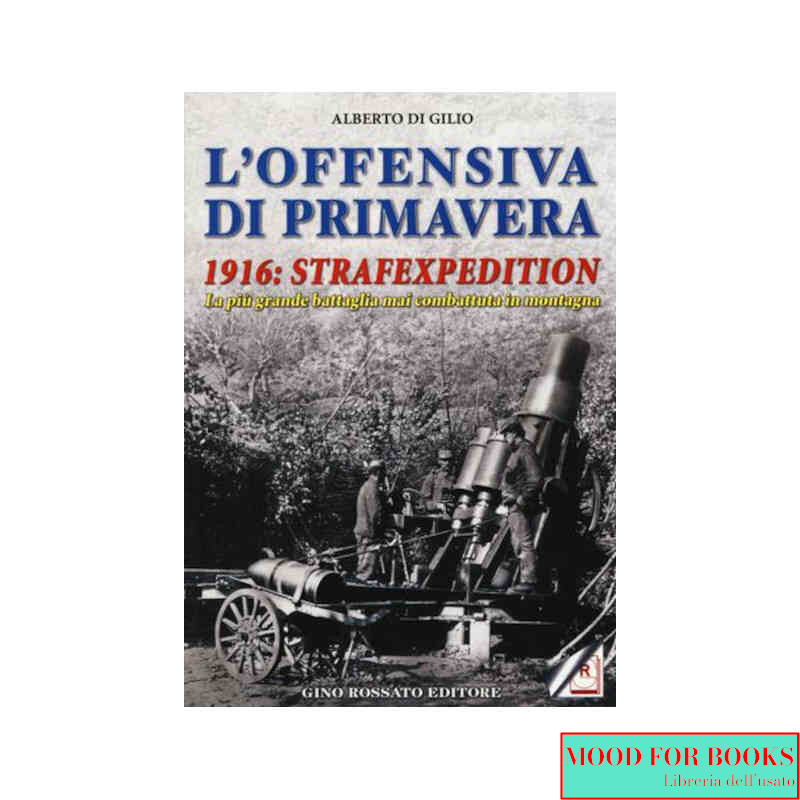 L'offensiva di primavera. 1916: strafexpedition. La più grande battaglia mai combattuta in montagna*