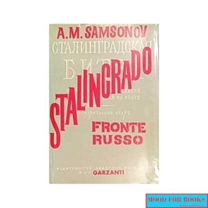 Stalingrado fronte russo