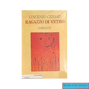 Ragazzo di vetro