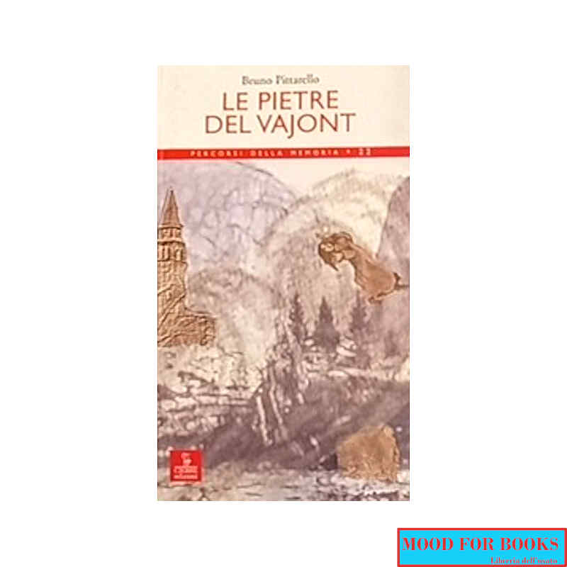Le pietre del Vajont